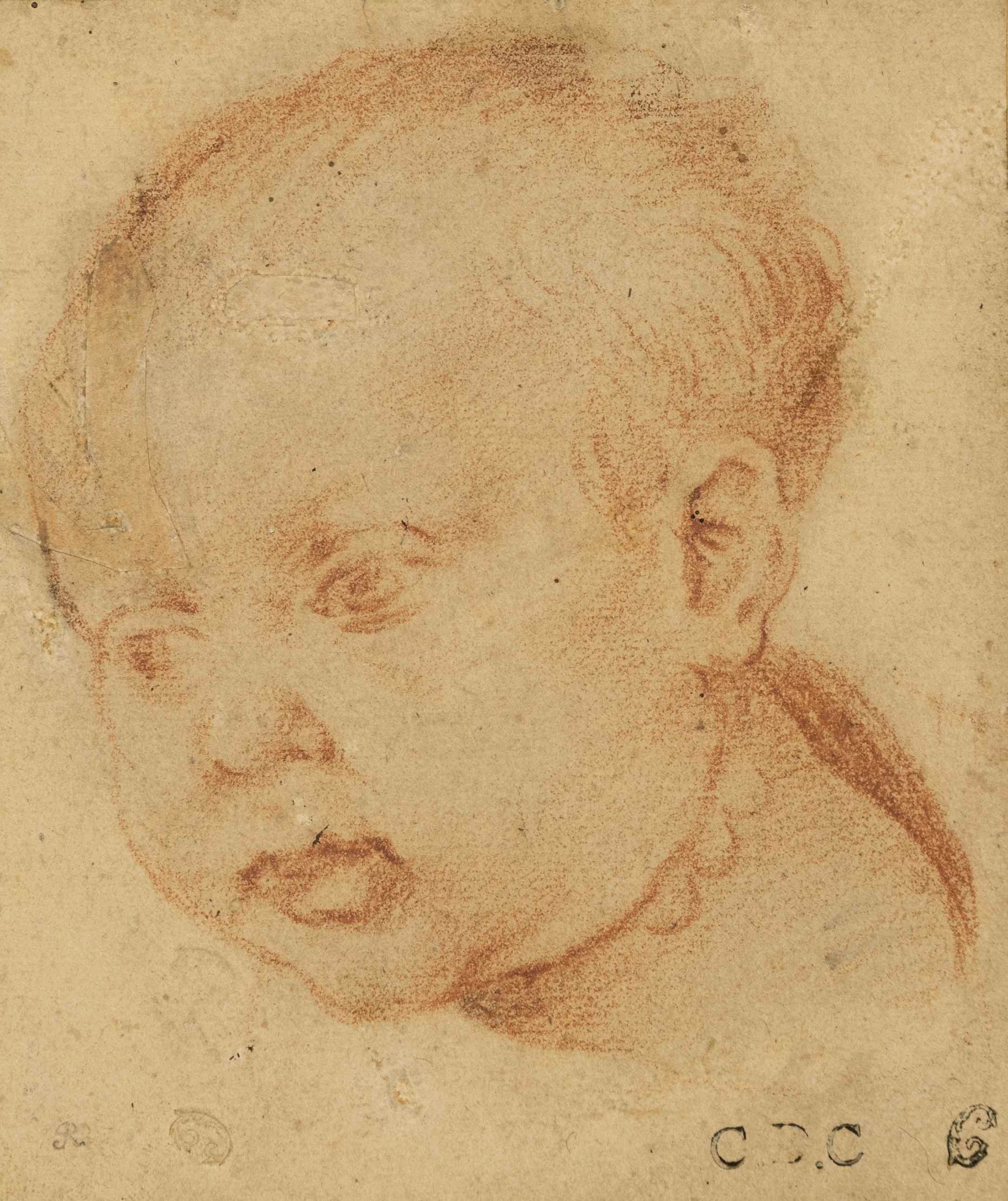 The Head of a Young Child